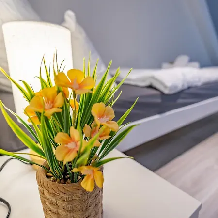 Appartement Hannibal - 